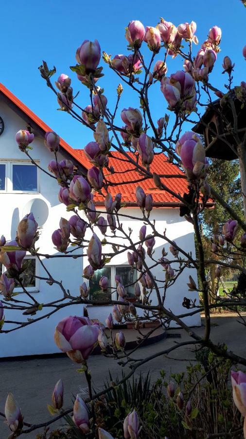 Ranczo U Stefana Villa Ustronie Morskie Eksteriør billede